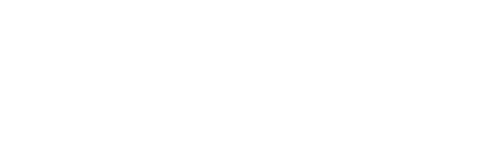 leslie_logo_white